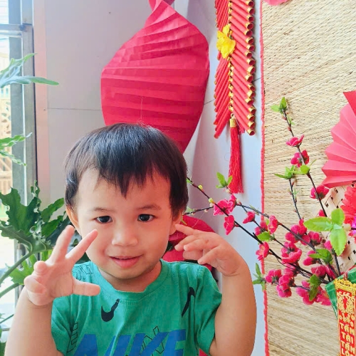 Hình tết 2025 cs4