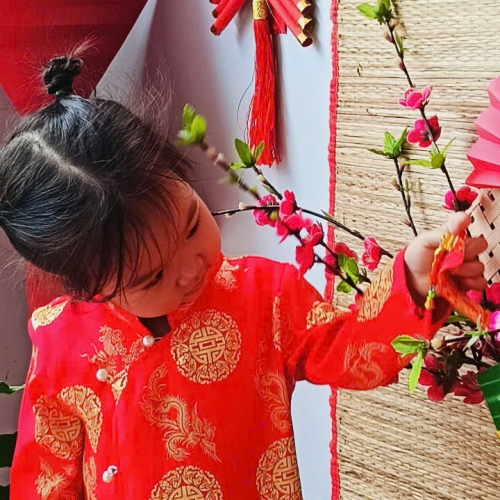 Hình tết 2025 cs4