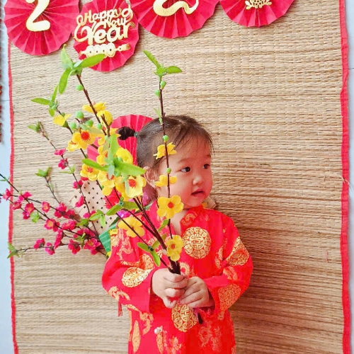 Hình tết 2025 cs4