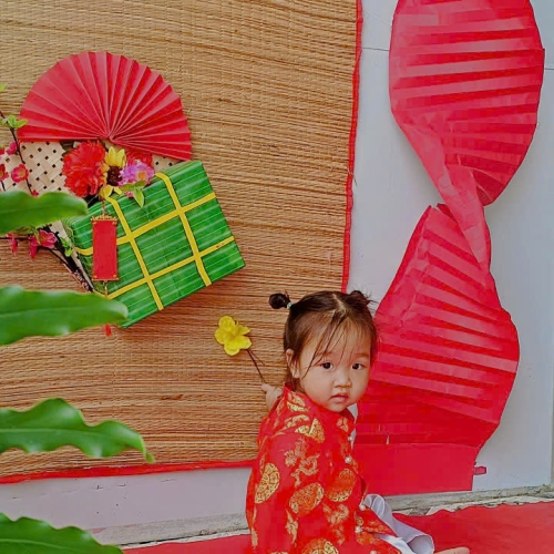 Hình tết 2025 cs4