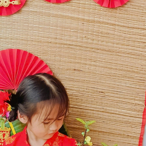 Hình tết 2025 cs4