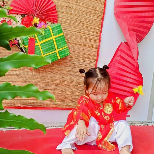 Hình tết 2025 cs4