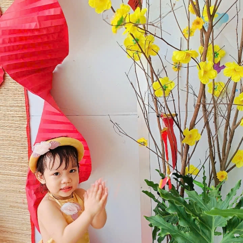 Hình tết 2025 cs4