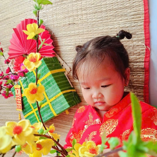 Hình tết 2025 cs4