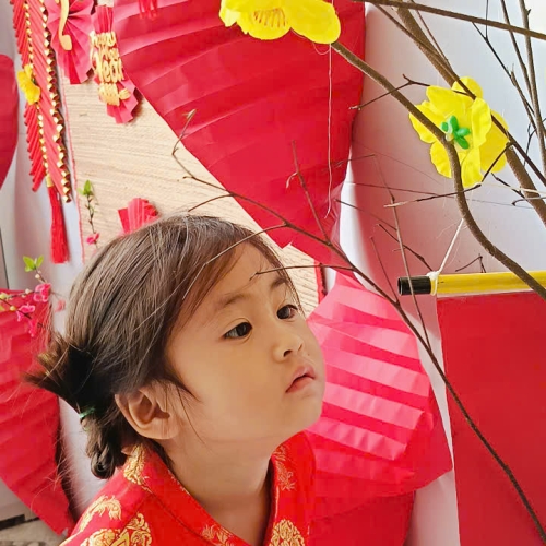 Hình tết 2025 cs4