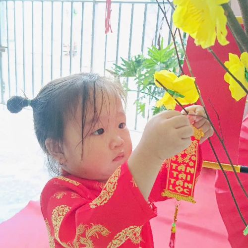 Hình tết 2025 cs4