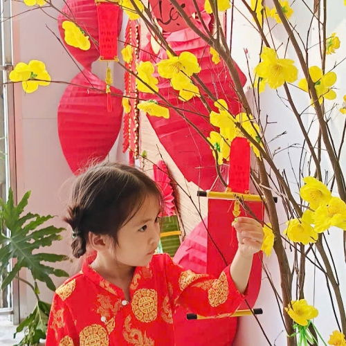 Hình tết 2025 cs4