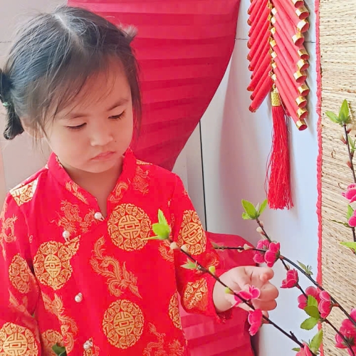 Hình tết 2025 cs4