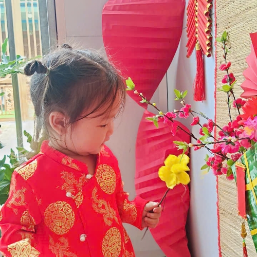 Hình tết 2025 cs4