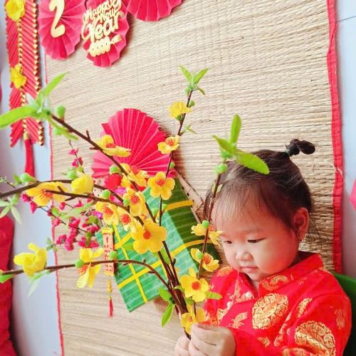 Hình tết 2025 cs4