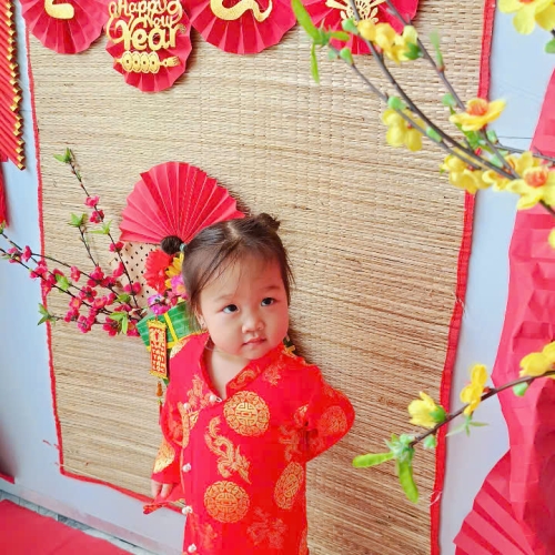 Hình tết 2025 cs4