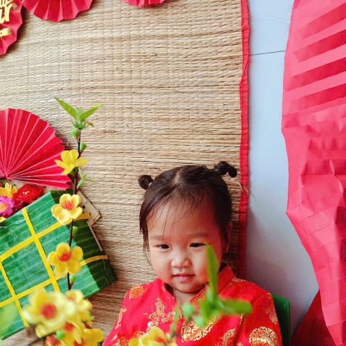 Hình tết 2025 cs4