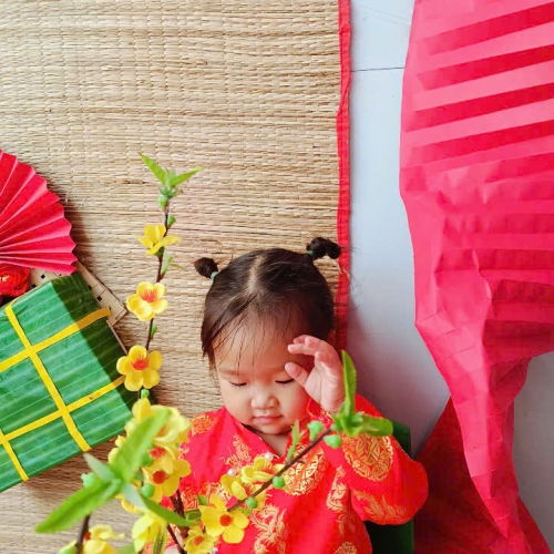 Hình tết 2025 cs4