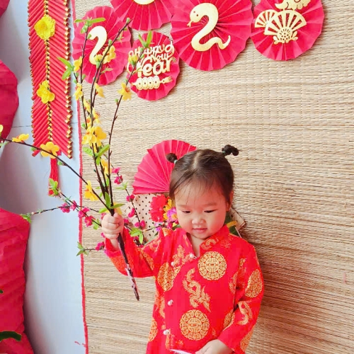 Hình tết 2025 cs4