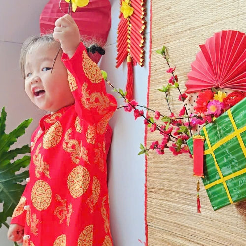 Hình tết 2025 cs4