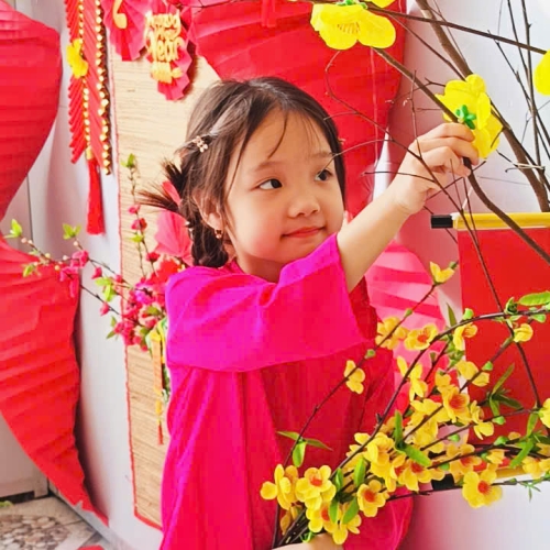 Hình tết 2025 cs4