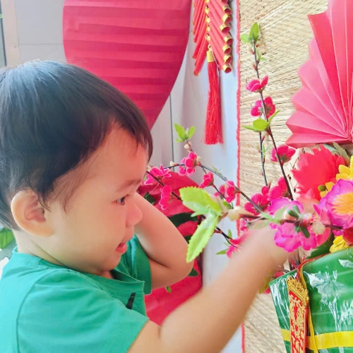 Hình tết 2025 cs4