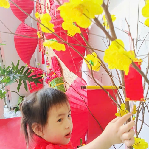 Hình tết 2025 cs4