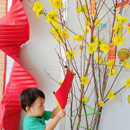 Hình tết 2025 cs4