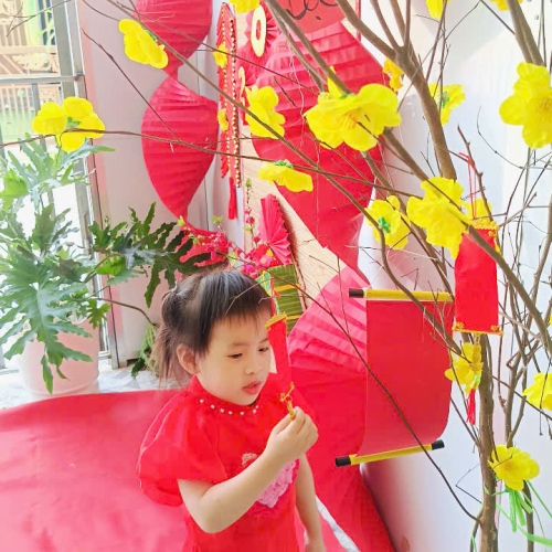 Hình tết 2025 cs4