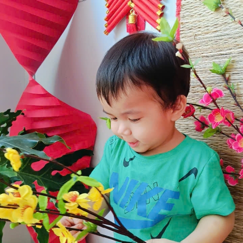 Hình tết 2025 cs4