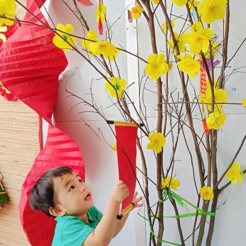 Hình tết 2025 cs4