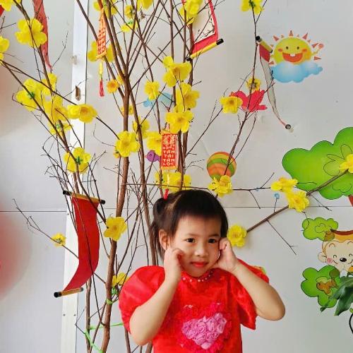 Hình tết 2025 cs4