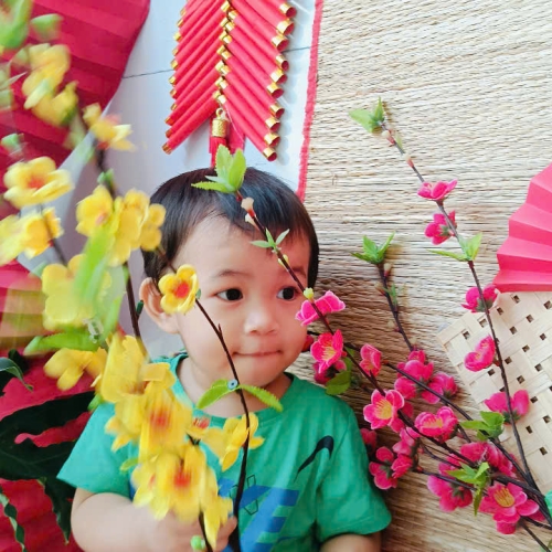 Hình tết 2025 cs4