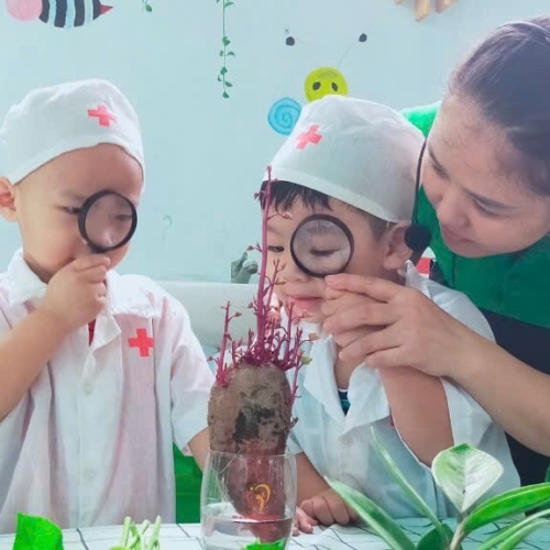 Khám Phá Cây Mọc Mầm CS4