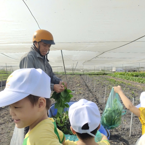 Bé trải nghiệm thu hoạch vườn rau