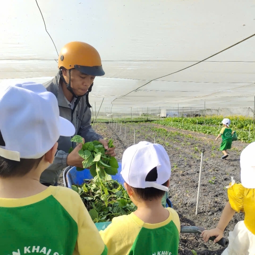 Bé trải nghiệm thu hoạch vườn rau