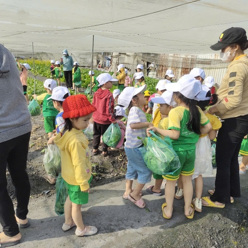 Bé trải nghiệm thu hoạch vườn rau