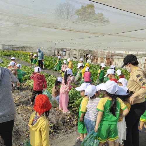 Bé trải nghiệm thu hoạch vườn rau