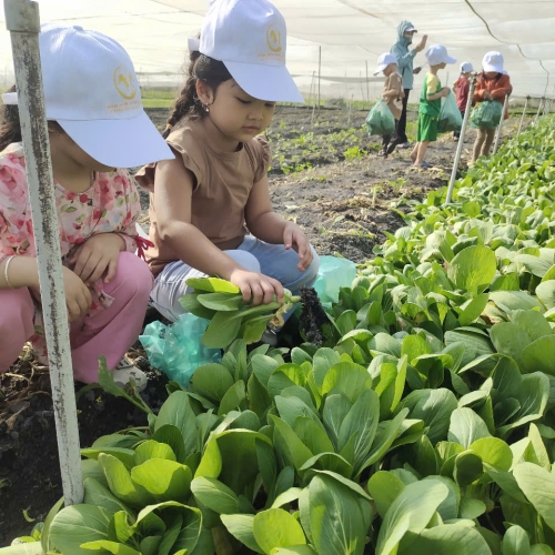 Bé trải nghiệm thu hoạch vườn rau