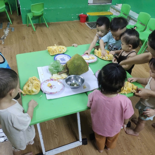 Bé khám phá quả mít