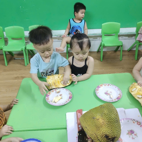 Bé khám phá quả mít