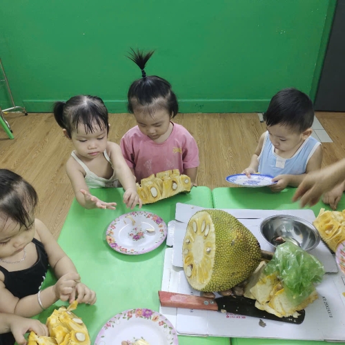 Bé khám phá quả mít