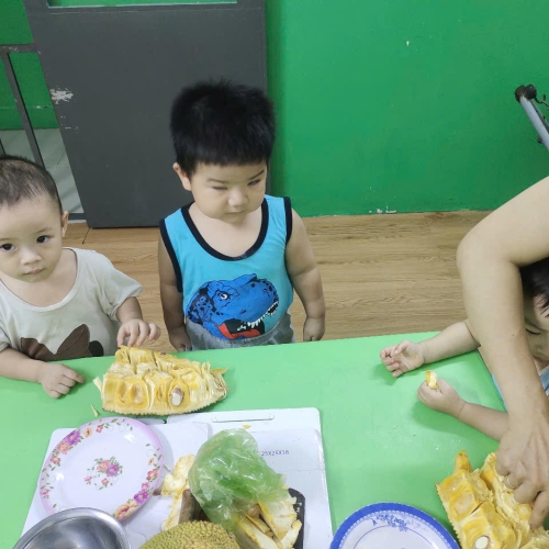 Bé khám phá quả mít