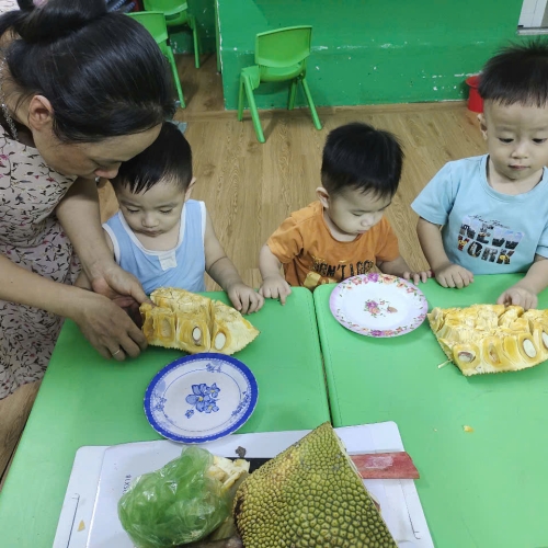 Bé khám phá quả mít