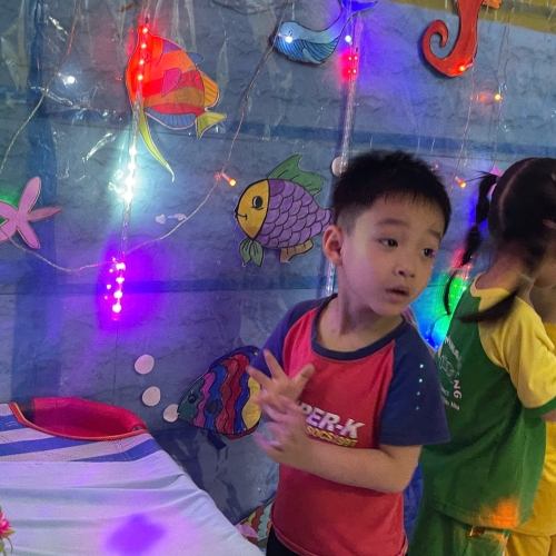 Du ngoạn Thủy cung lung linh