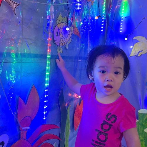 Du ngoạn Thủy cung lung linh