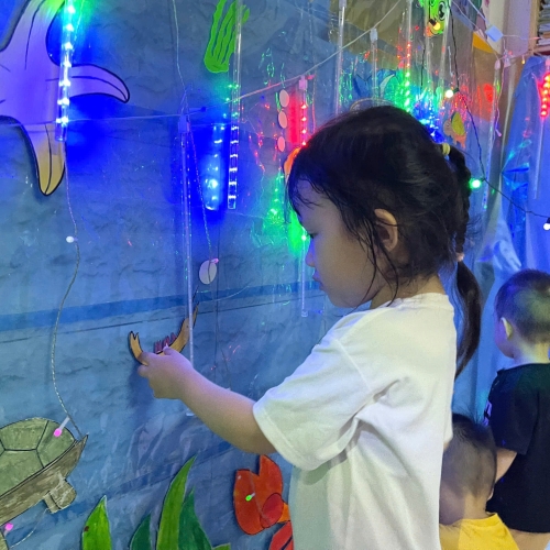 Du ngoạn Thủy cung lung linh