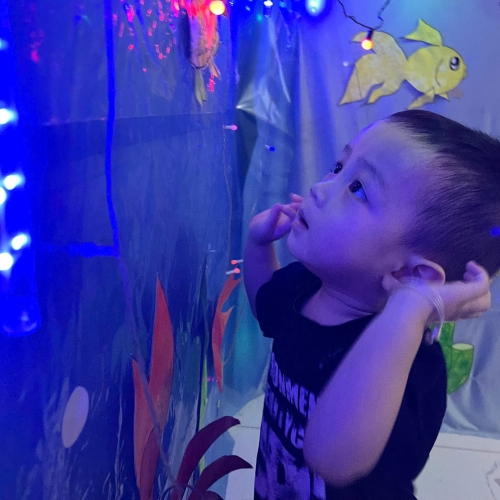 Du ngoạn Thủy cung lung linh