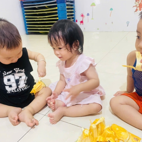 Khám phá quả mít