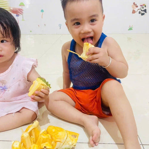 Khám phá quả mít