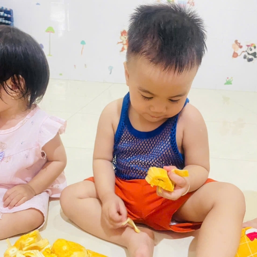 Khám phá quả mít